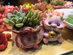 -花鸟鱼虫鲜花绿植市场(玉泉路店)