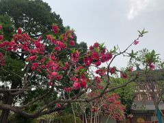 -华清宫景区