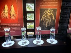 -北山公园