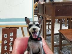 -尚合里潮汕牛肉火锅(海沧店)