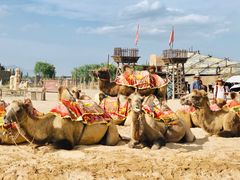 -镇北堡西部影城