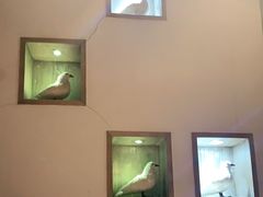 -茅庐毛血旺(烟台大悦城店)