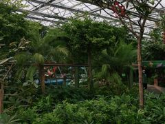 -南宫五洲植物乐园