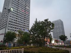 -万达广场(泰安泰山店)