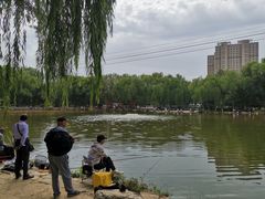 -青城公园