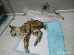 iphone_upload_pic-盛京一禾