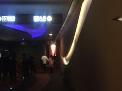 -万达影城(汉街万达广场IMAX店)