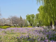 -咸阳湖景区