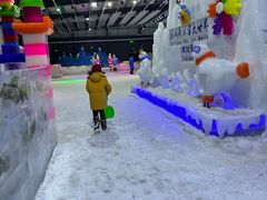 -宁波冰雪大世界(北仑区)