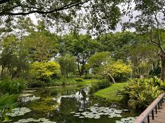 -云溪植物园