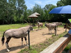 -大连森林动物园