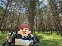 -塞罕坝国家级自然保护区