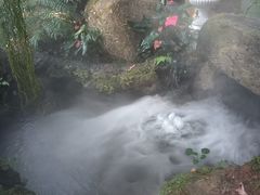 -Chom Cafe and Restaurant