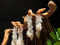 -蟹犇•帝王蟹雪蟹(陆家嘴店)