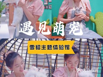 上海首家️轻奢风雪貂主题体验馆去撸小动物！