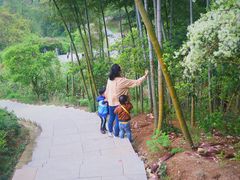 -梅岭月亮湾山体公园