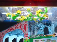 -荷兰花海