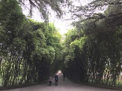 门面-望江楼公园