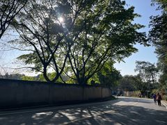 -铁山坪森林公园