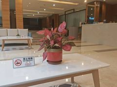 -深圳海景嘉途酒店(东翼楼)