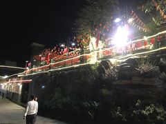 -老幺泉水鸡