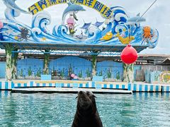 -海南分界洲岛旅游区