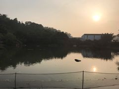 -厦门悦华酒店