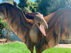 -武汉紫薇都市田园