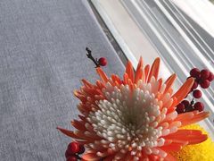 -南堂馆·新川菜(春熙路店)