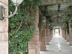 -南国桃园旅游度假区