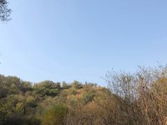 -大青沟风景区
