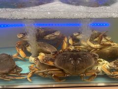 -同庆楼(滨湖万达广场店)