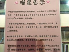 -猫咪博物馆(顶澳仔猫街店)