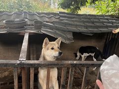 -晓雯人家