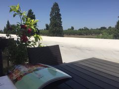 -素心小筑(后沙裕镇店)