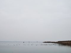 -苏州太湖湖滨国家湿地公园