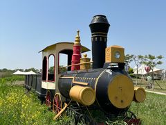 -洪湖湿地生态园