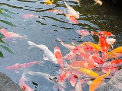 -聚福宝合苑食府(南头镇店)