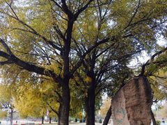 -赛汗塔拉风情园