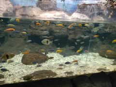 -台州海洋世界