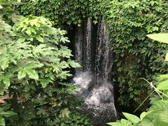 -南山植物园