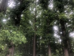 -棒棰岛宾馆景区