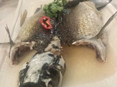 从化山泉水鲩鱼-朱仔记食府(江南大道店)