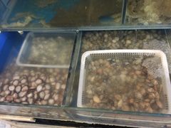 胶东海鲜渔岛情(牡丹园店)-胶东海鲜大排档(北太平庄店)