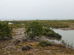 -北海金海湾红树林生态旅游区