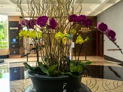 -广州花园酒店