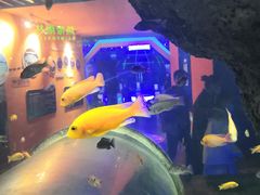 -石家庄海洋公园