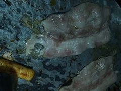 -蓝庭湾海鲜火锅烤肉自助餐厅
