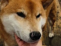 -三目仓咖啡(贤南路店)