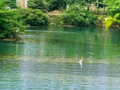 -贵阳市花溪国家城市湿地公园